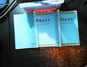 中国文学史  2.3  【书脊少许磨损 黄斑】