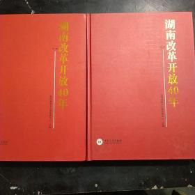 湖南改革开放40年（上下册）