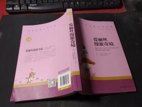 爱丽丝漫游奇境 中小学生课外阅读书籍世界经典文学名著青少年儿童文学读物故事书名家名译原汁原味读原著