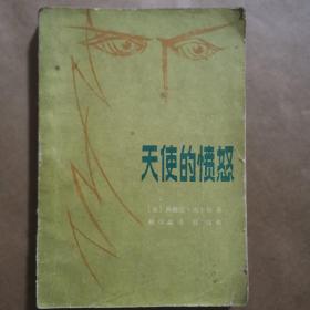 天使的愤怒