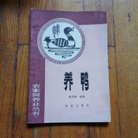 養(yǎng)鴨