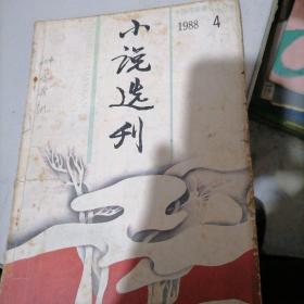 小说选刊杂志1988一4