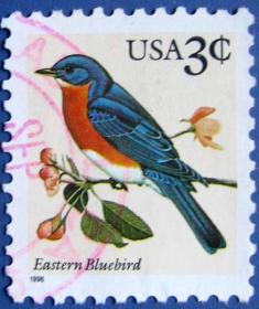 东方知更鸟--美国邮票--早期外国邮票甩卖--实拍--包真--店内更多