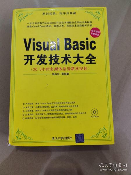 Visual Basic开发技术大全