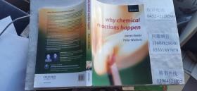 英文原版图书：为什么会发生化学反应 Why Chemical Reactions Happen  16开本  包快递费