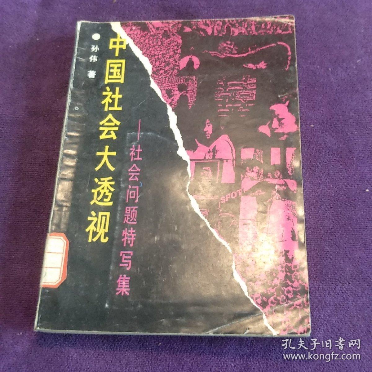 中国社会大透视 社会问题特写集 馆藏