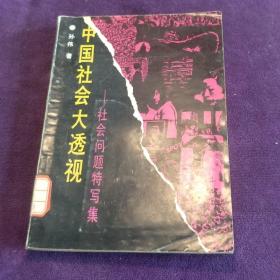 中国社会大透视 社会问题特写集 馆藏