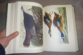 1936年Constance Rourke - AUDUBON《鸟王奥杜邦传》摩洛哥羊皮手工烫金精装全插图本 大量木刻及彩图 增补精美插图 大开本 品绝佳