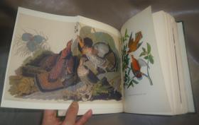 1936年Constance Rourke - AUDUBON《鸟王奥杜邦传》摩洛哥羊皮手工烫金精装全插图本 大量木刻及彩图 增补精美插图 大开本 品绝佳