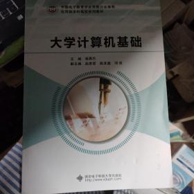 大学计算机基础/应用型本科高校系列教材