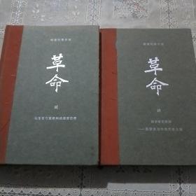 杨奎松著作集 革命 贰 肆（两本合售）