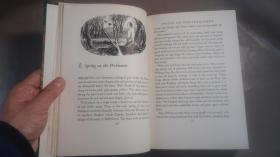 1936年Constance Rourke - AUDUBON《鸟王奥杜邦传》摩洛哥羊皮手工烫金精装全插图本 大量木刻及彩图 增补精美插图 大开本 品绝佳