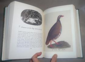 1936年Constance Rourke - AUDUBON《鸟王奥杜邦传》摩洛哥羊皮手工烫金精装全插图本 大量木刻及彩图 增补精美插图 大开本 品绝佳