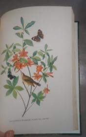 1936年Constance Rourke - AUDUBON《鸟王奥杜邦传》摩洛哥羊皮手工烫金精装全插图本 大量木刻及彩图 增补精美插图 大开本 品绝佳