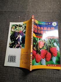 树莓优良新品种育苗与栽培技术