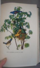 1936年Constance Rourke - AUDUBON《鸟王奥杜邦传》摩洛哥羊皮手工烫金精装全插图本 大量木刻及彩图 增补精美插图 大开本 品绝佳