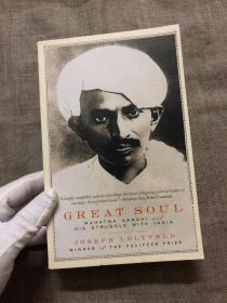 Great Soul: Mahatma Gandhi And His Struggle With India 伟大的灵魂：圣雄甘地与印度的斗争【英文版】