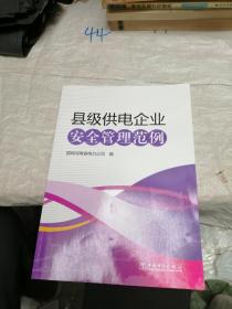 县级供电企业安全管理规范