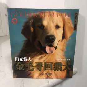 金毛寻回猎犬