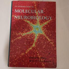 MOLECULAR NEUROBIOLOGY(库尔库耶神经生物学)