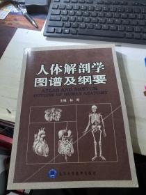 人体解剖学图谱及纲要  ( 全新，未阅读过，前书壳有压印）