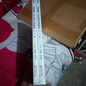 预算管理一体化规范实用教程  上下册   十品未开封膜