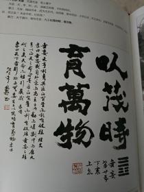 《潘国泰易理书画 》合肥工业大学艺术学院院长！（硬精装正版现货，2014年一版一印！）
