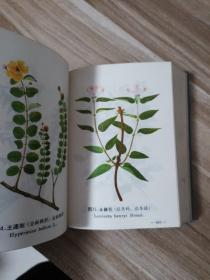 西藏常用中草药（详细收集367种中药藏药 附彩色图424幅 并且收集了200个左右的中医藏医验方）