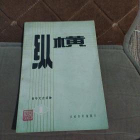 纵横创刊号