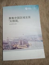 聚焦中国区域发展（大棋局）2020-11