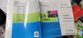 花卉装饰技术   周春艳  16开本