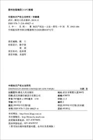 中国知识产权立法研究