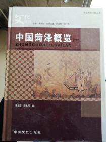 中国菏泽文化丛书：中国菏泽概览下册