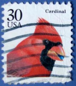 红衣凤头鸟--美国邮票--早期外国邮票甩卖--实拍--包真--店内更多