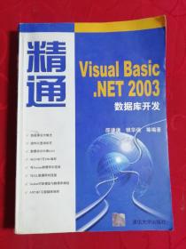 精通Visual Basic.NET 2003数据库开发