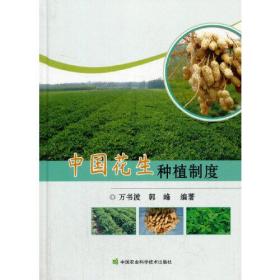 中国花生种植制度