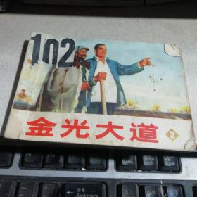 金光大道（  第二集 ）