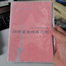 钢铁是怎样炼成的