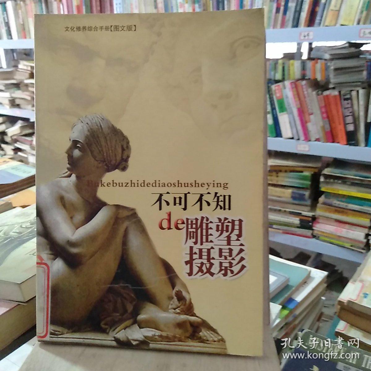 文化修养综合手册：不可不知的雕塑摄影
