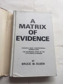 A MATRIX OF EVIDENCE