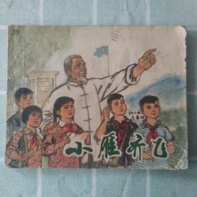 连环画：小雁齐飞