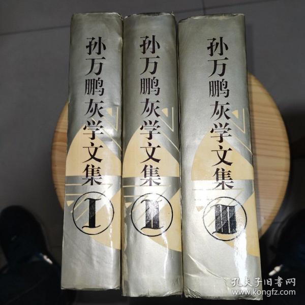 孙万鹏灰学文集 Ⅰ Ⅱ Ⅲ  全三册 1995年一版一印 精装