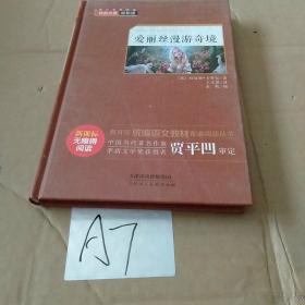 爱丽丝漫游奇境/经典名著轻松读