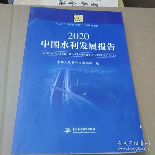 2020中国水利发展报告