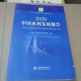 2020中国水利发展报告