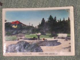 60年61年青岛的老照片儿或明信片。