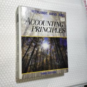 ACCOUNTING PRINCIPLES会计原理 第三版（WEYGANDT KIESO KELL）16开精装本