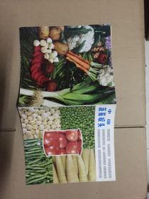 中国蔬菜罐头《精美出口商品图册》中英文