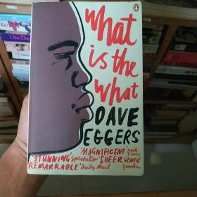 What Is the What: The Autobiography of Valentino Achak Deng: A Novel