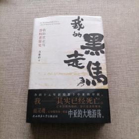 我的黑走马游牧者简史高建群浪漫之作，有关古代游牧民族的传奇兴衰史，作家亲绘彩色人物插图